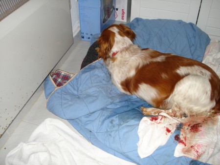 Não se vê mas estou a secá-lo. 